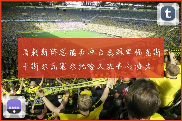 马刺新阵容能否冲击总冠军福克斯卡斯尔瓦塞尔托哈文班齐心协力
